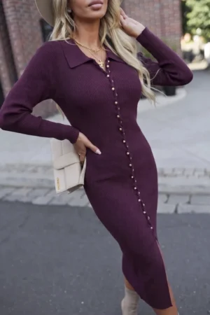 Odelia obleka bordo